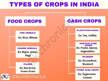 Types of Crops in India