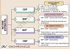 Macroeconomic Aggregates