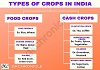 Agriculture in India